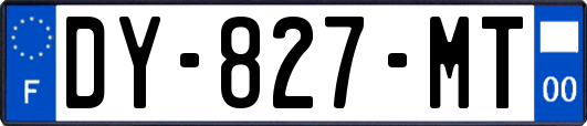 DY-827-MT