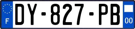 DY-827-PB