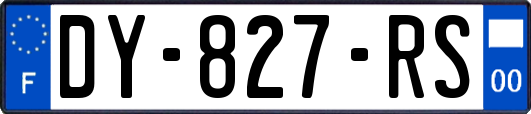 DY-827-RS