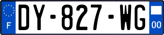 DY-827-WG