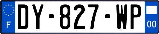 DY-827-WP