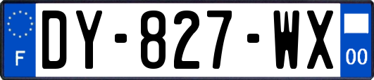 DY-827-WX