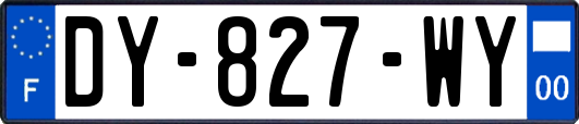 DY-827-WY