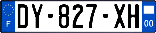 DY-827-XH