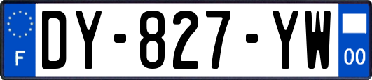 DY-827-YW