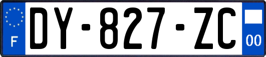 DY-827-ZC