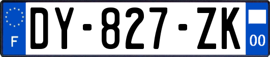 DY-827-ZK