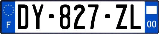 DY-827-ZL