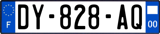 DY-828-AQ