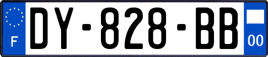 DY-828-BB