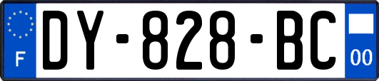 DY-828-BC