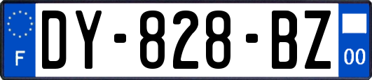 DY-828-BZ