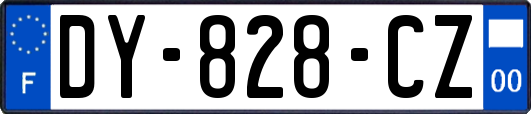 DY-828-CZ