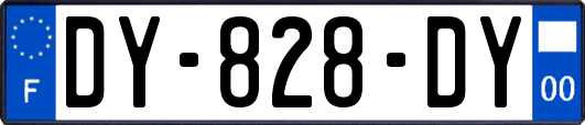 DY-828-DY