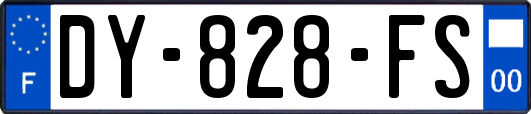 DY-828-FS
