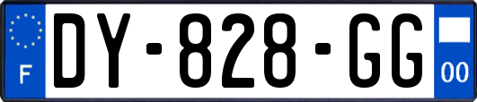 DY-828-GG