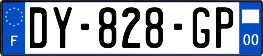 DY-828-GP