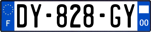 DY-828-GY