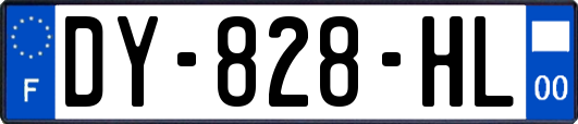 DY-828-HL