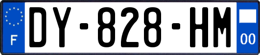 DY-828-HM