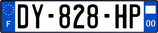 DY-828-HP