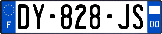 DY-828-JS