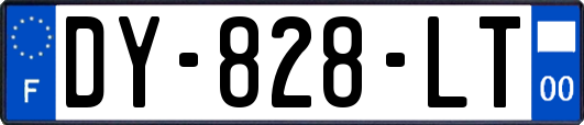 DY-828-LT