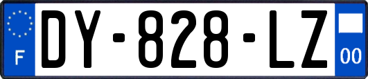 DY-828-LZ