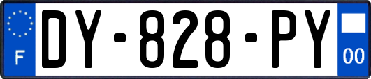 DY-828-PY