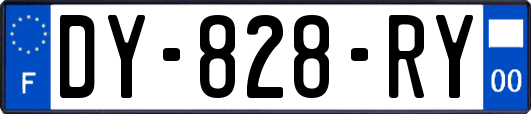 DY-828-RY