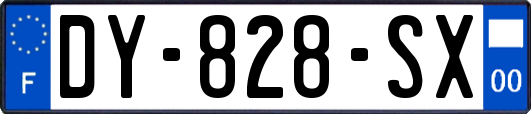 DY-828-SX