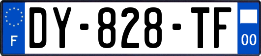 DY-828-TF