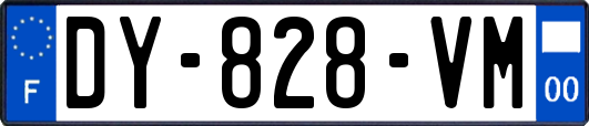 DY-828-VM