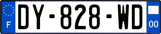 DY-828-WD