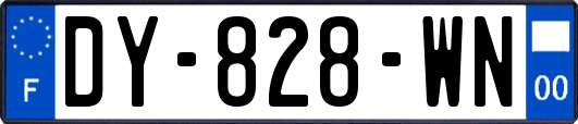 DY-828-WN