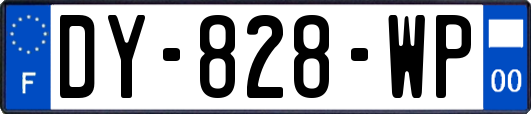 DY-828-WP