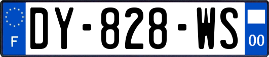 DY-828-WS