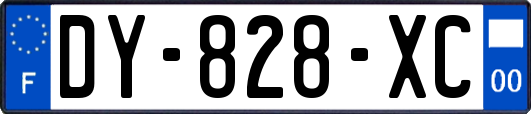 DY-828-XC