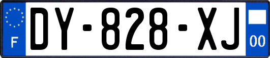 DY-828-XJ