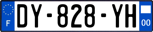 DY-828-YH