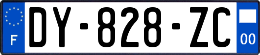 DY-828-ZC