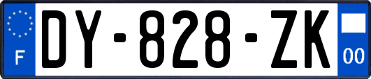 DY-828-ZK