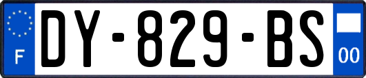 DY-829-BS