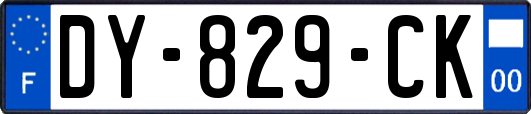 DY-829-CK