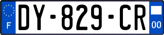 DY-829-CR