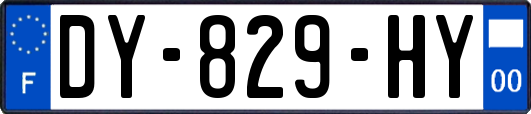 DY-829-HY