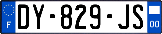 DY-829-JS