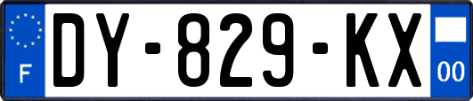 DY-829-KX