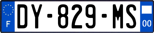 DY-829-MS