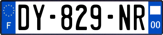 DY-829-NR